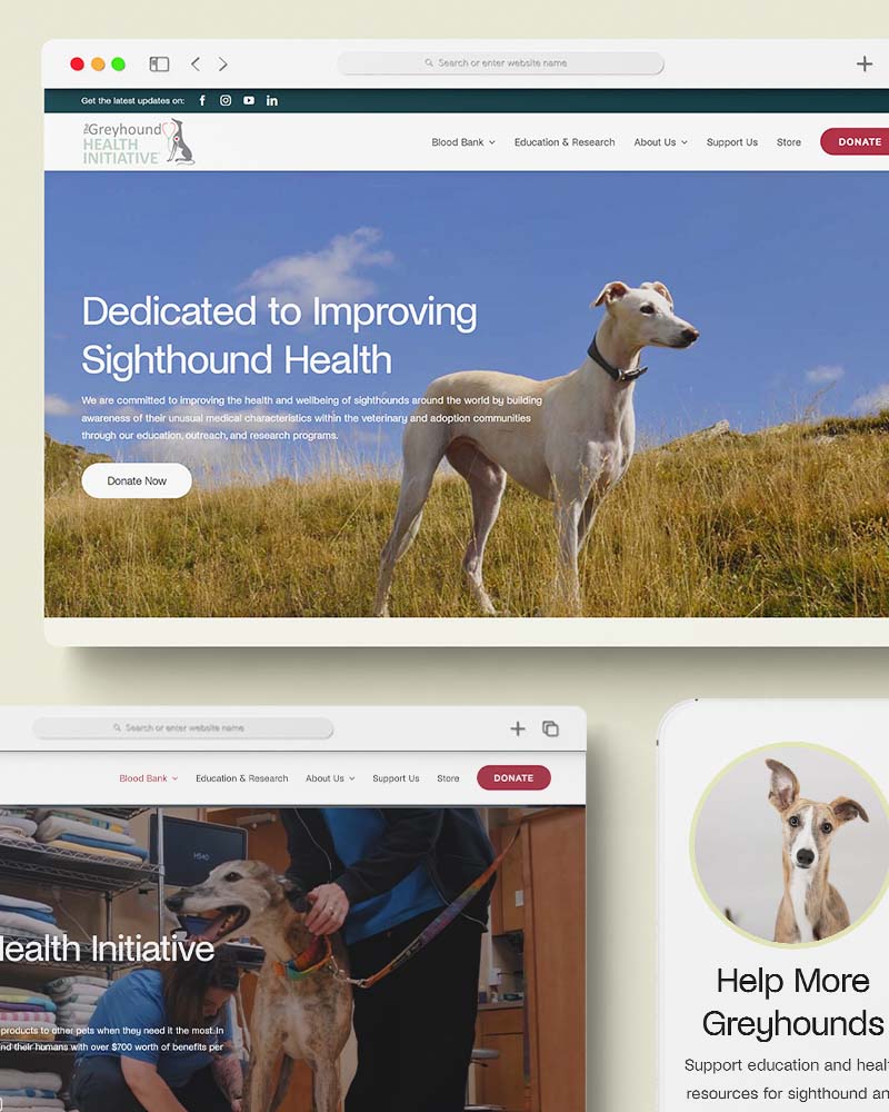 Greyhound Health Initiative website design project
